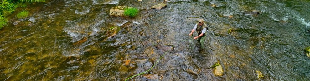 Hazel Creek